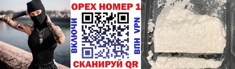 цены наркотик  Судогда  mega рабочий сайт  Cocaine Fish Scale 