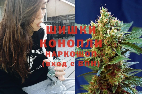 spice Гусь-Хрустальный