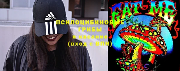 МДПВ Гусев