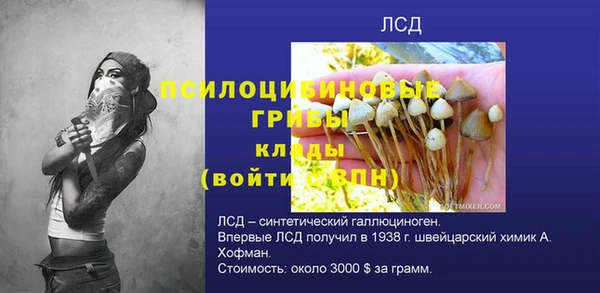 стафф Абдулино