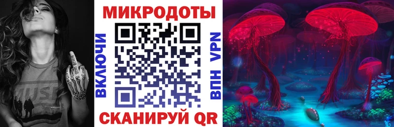 продажа наркотиков  Судогда  Галлюциногенные грибы Psilocybine cubensis 